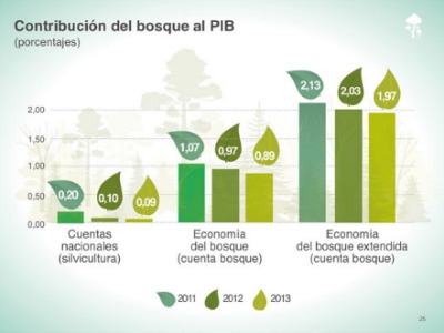 Los bosques de Costa Rica contribuyen un 2 % al PIB, más de lo que se pensaba