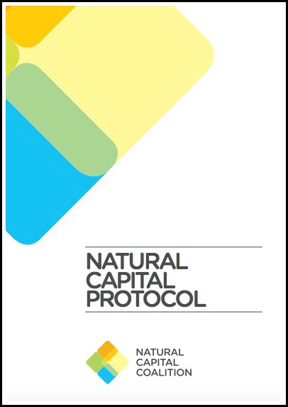 ¿Por qué es beneficioso para las empresas aplicar el Protocolo del Capital Natural?