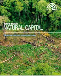 Capital natural, explorando el caso de invertir en naturaleza