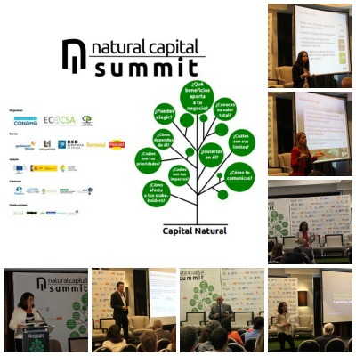En este momento estás viendo Experiencias empresariales hacia un crecimiento sostenible: Arcadis, LafargeHolcim y Suez España