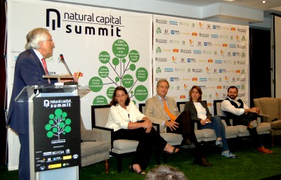 El capital natural en el tercer sector