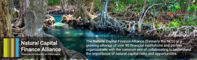 La Declaración del Capital Natural pasa a llamarse Alianza Financiera del Capital Natural